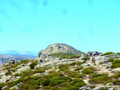 Torozo-Sierra de Gredos-Cinco Villas; 